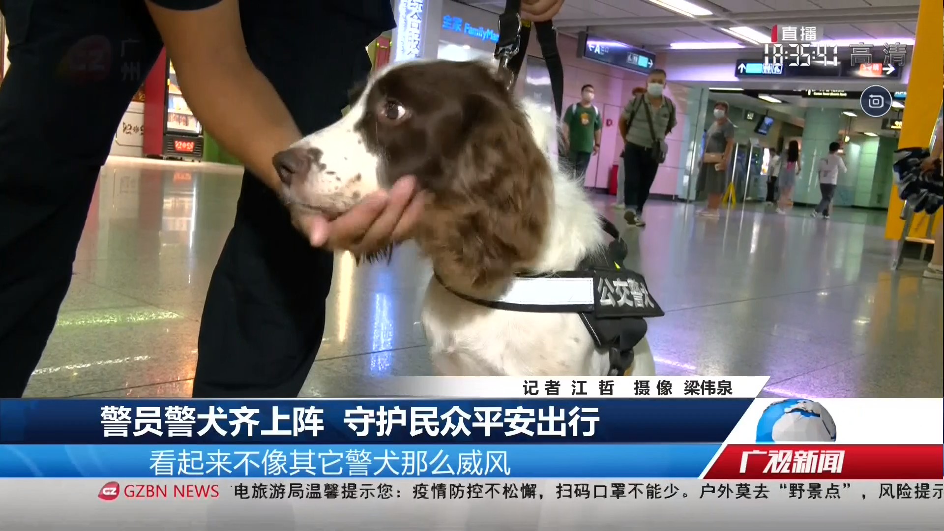 广州台综合频道 广视新闻 警员警犬齐上阵 守护民众平安出行