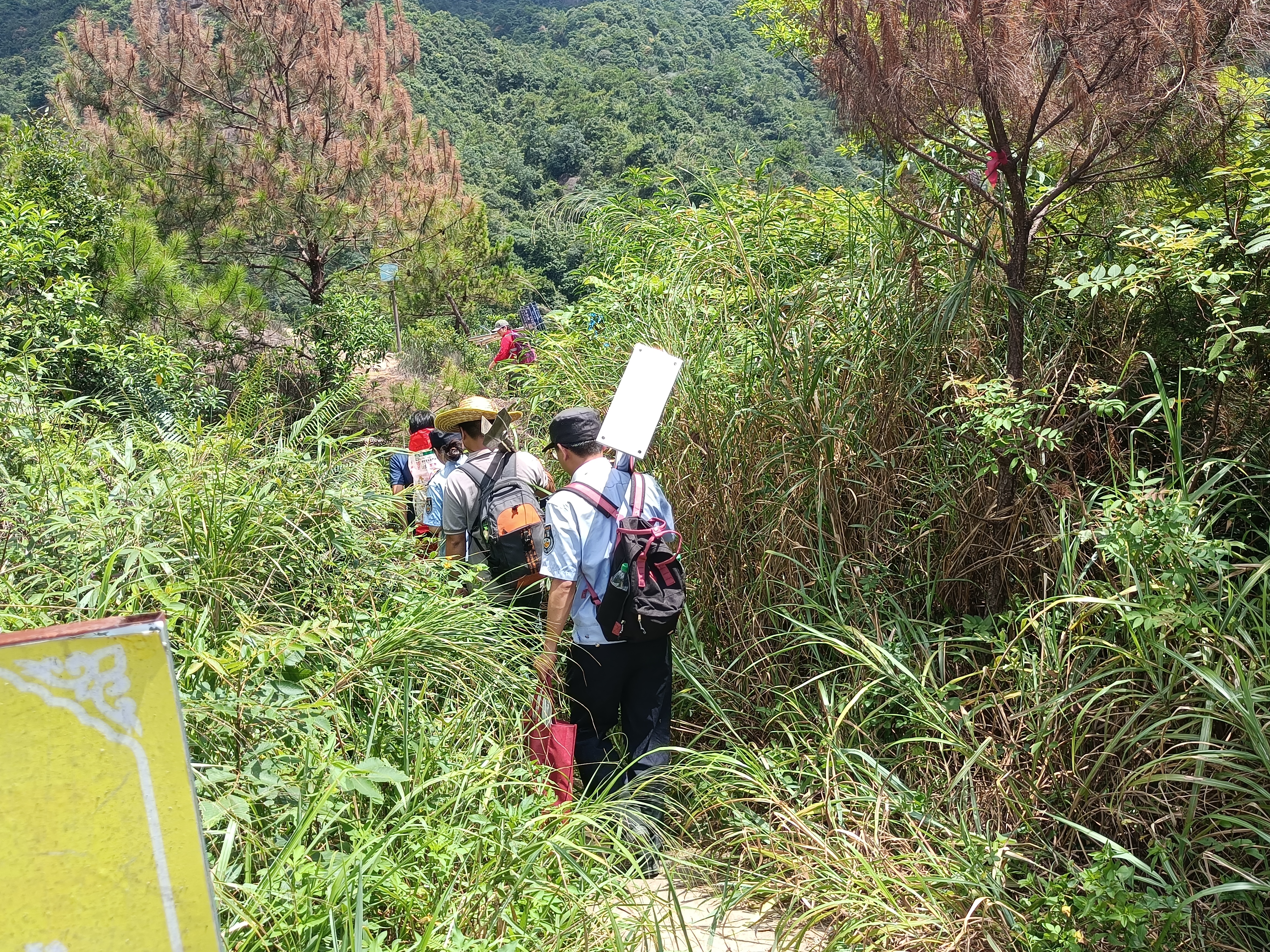 林区徒步有指引 警徽映照民心安5.jpg